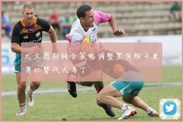 尤文图斯转会策略调整聚焦维卡里奥以替代大马丁